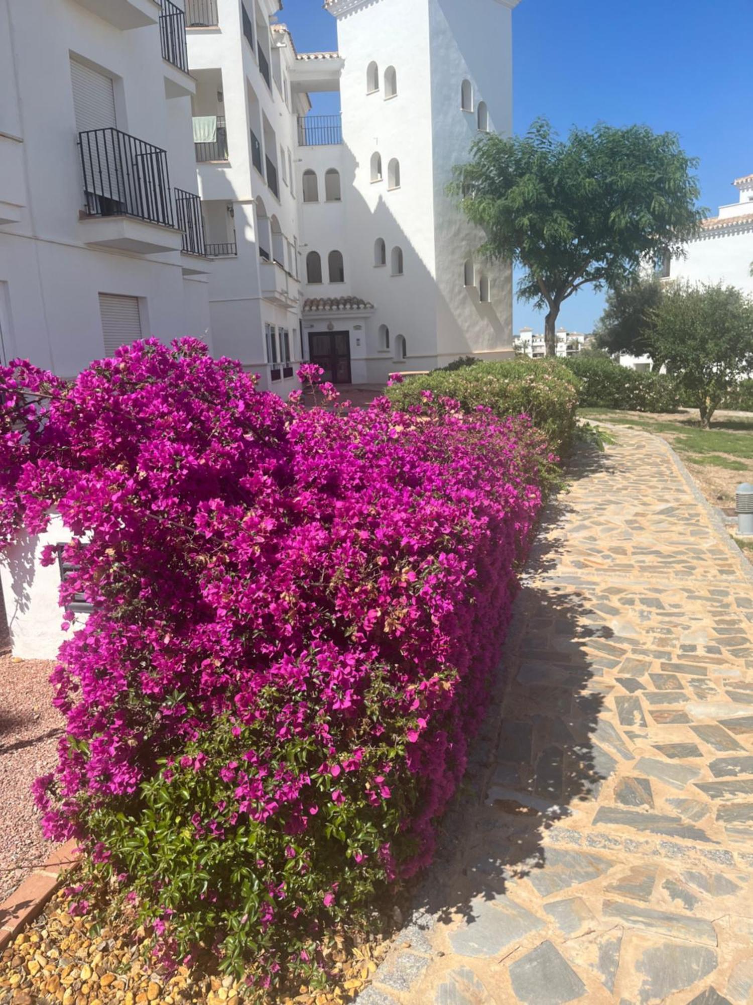 La Casa Rosita, Hacienda Riquelme Golf Resort Sucina Μούρθια Εξωτερικό φωτογραφία